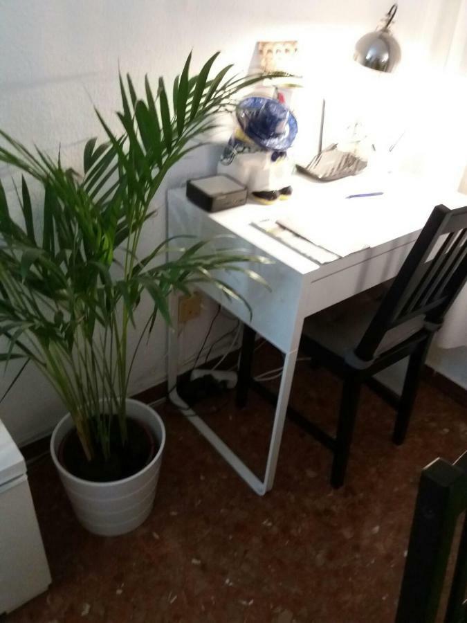 Apartment La Gallega Córdoba Exterior foto